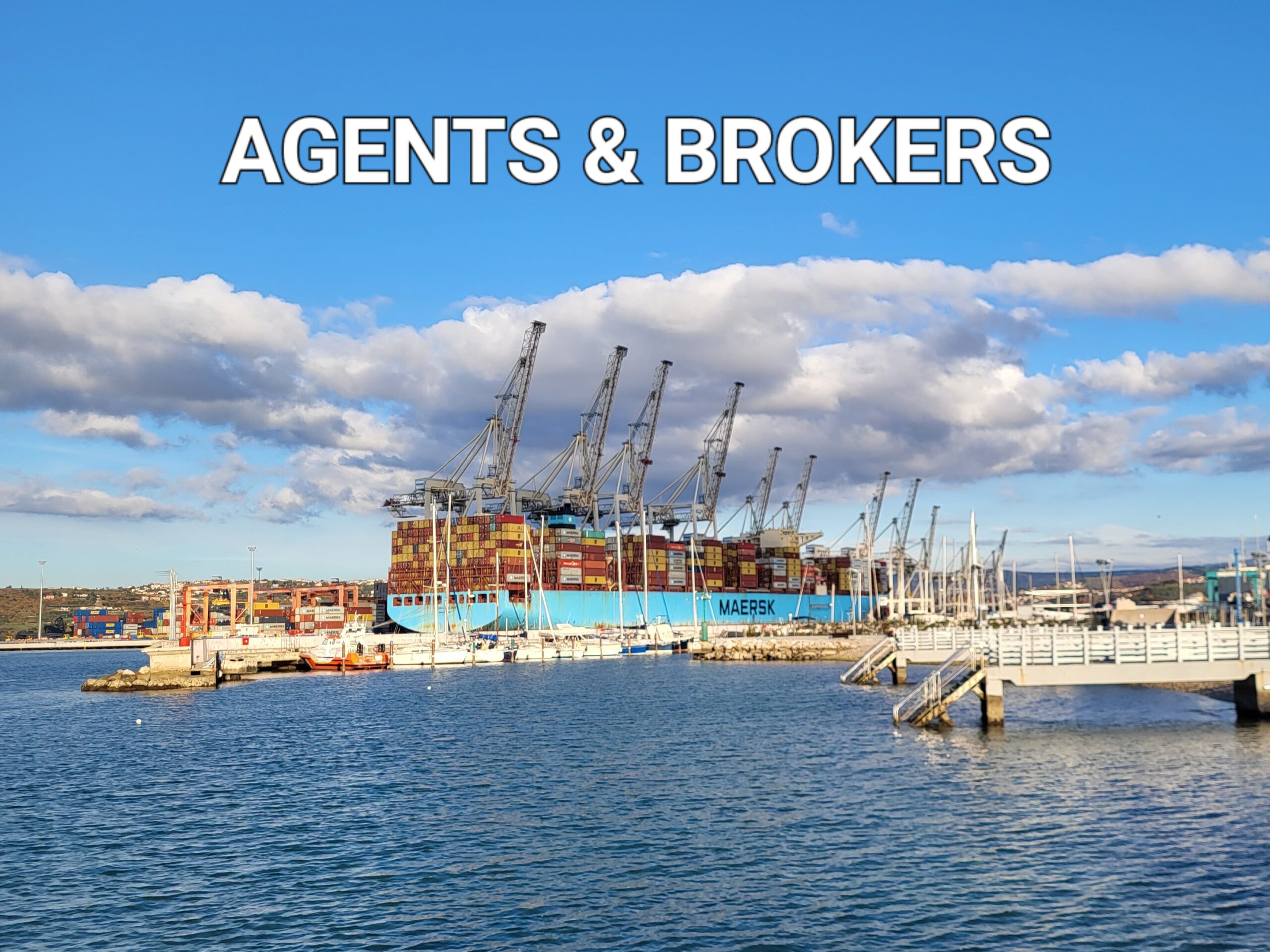 <strong>FOOD SAFETY MANAGEMENT APPLIED BY DISTRIBUTORS (AGENTS AND BROKERS STANDARDS)</strong>