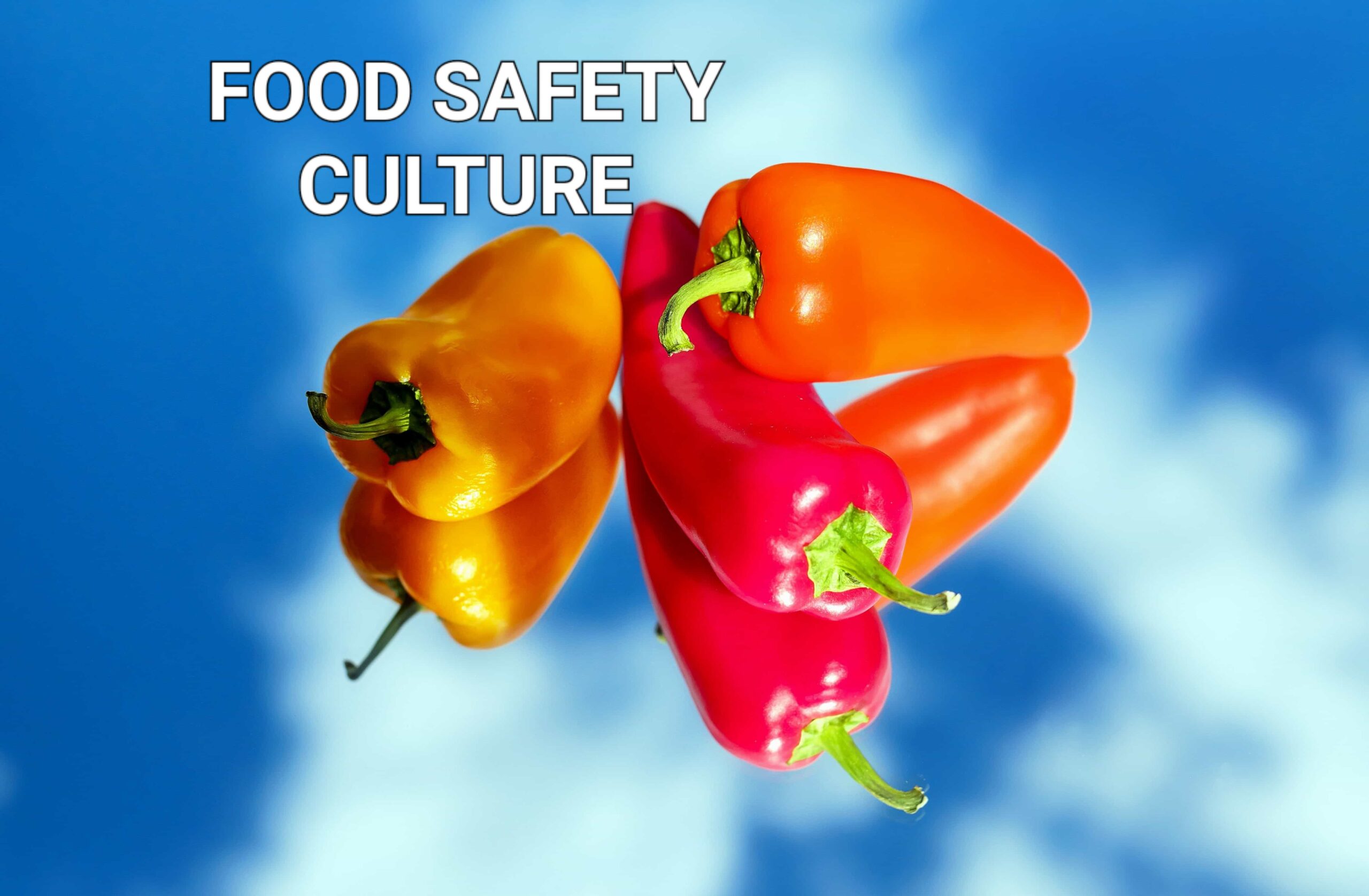 FOOD SAFETY CULTURE - NEW TRENDS - AS Consulting